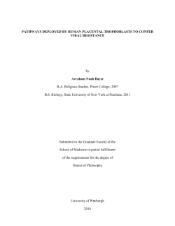 PATHWAYS DEPLOYED BY HUMAN PLACENTAL