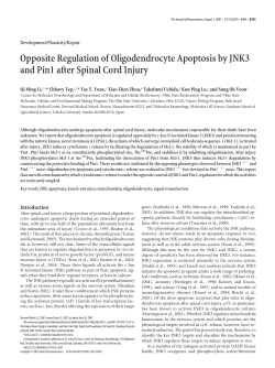 Opposite Regulation of Oligodendrocyte Apoptosis by JNK3 and