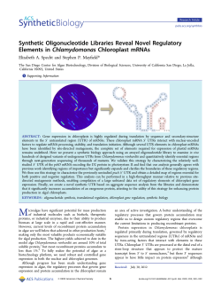 Synthetic Oligonucleotide Libraries Reveal Novel