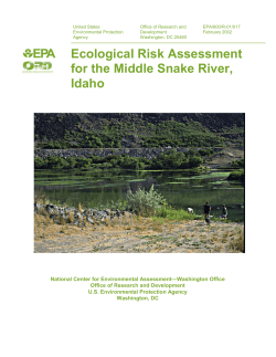 ecological risk assessment for the middle snake river, idaho