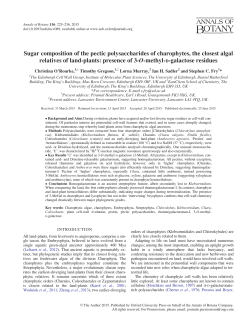Sugar composition of the pectic polysaccharides