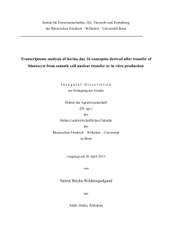 Transcriptome analysis of bovine day 16 conceptus derived after