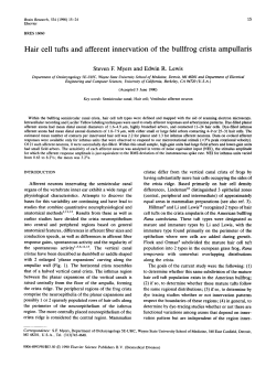 open pdf file - People @ EECS at UC Berkeley