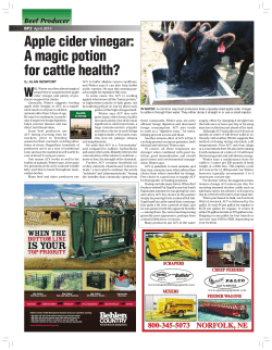 Apple cider vinegar: A magic potion for cattle health?