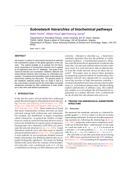 Subnetwork hierarchies of biochemical pathways