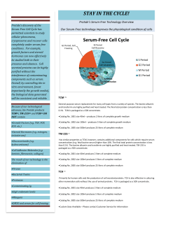 Serum-Free Cell Cycle - Protide Pharmaceuticals