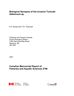 Biological Synopsis of the Invasive Tunicate