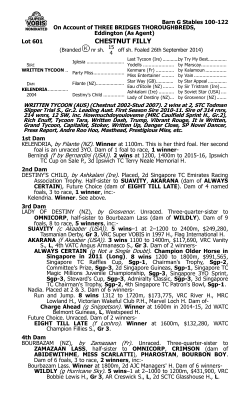 Pedigree - Three Bridges Thoroughbreds