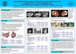 Mitral isthmus line From To