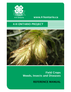 Field Crops Leader Guide - 4