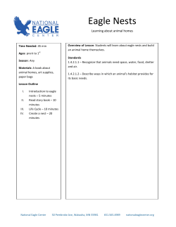 Eagle Nests - National Eagle Center