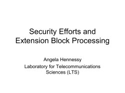 Security Efforts and Extension Block Processing