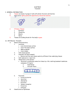 CHAPTER 5 TISSUES I. GENERAL