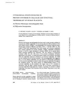 CYTOLOGICAL EVENTS INVOLVED IN PROTEIN SYNTHESIS IN