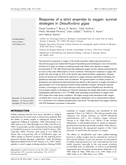 Response of a strict anaerobe to oxygen: survival
