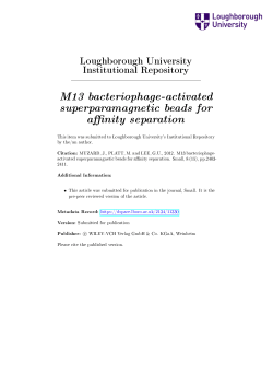 M13 bacteriophage-activated superparamagnetic beads for a nity