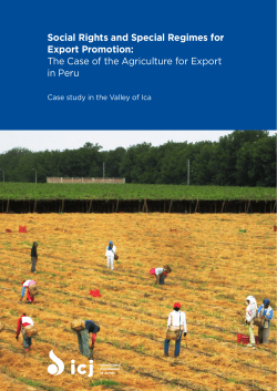 Social Rights and Special Regimes for Export Promotion: The Case