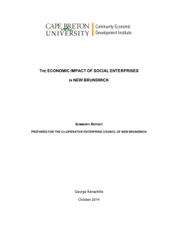 The Economic Impact of Social Enterprises in New Brunswick