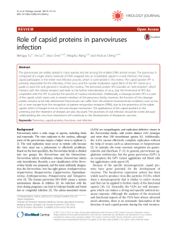 Role of capsid proteins in parvoviruses infection