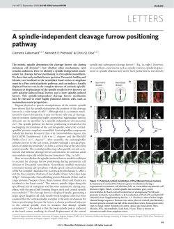 A spindle-independent cleavage furrow positioning pathway