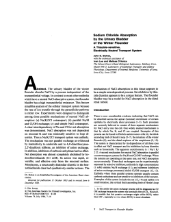 Sodium Chloride Absorption by the Urinary Bladder of the