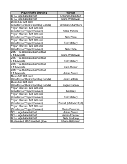 Player Raffle Prize checklist opening day 2017