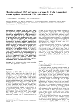 Phosphorylation of DNA polymerase a-primase by Cyclin A