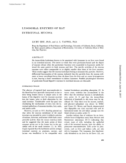 LYSOSOMAL ENZYMES OF RAT INTESTINAL MUCOSA on