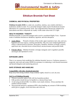 Ethidium Bromide Fact Sheet
