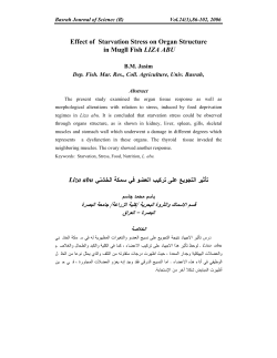 Effect of Starvation Stress on Organ Structure in Mugll Fish