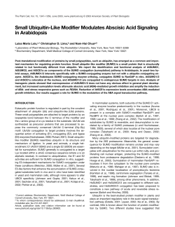 Small Ubiquitin-Like Modifier Modulates Abscisic