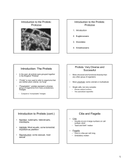 Introduction: The Protists Introduction to Protists (cont.) Cilia and