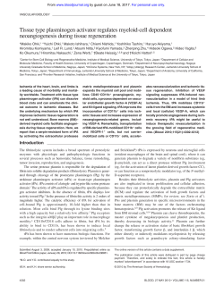 Tissue type plasminogen activator regulates myeloid