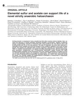Elemental sulfur and acetate can support life of a novel