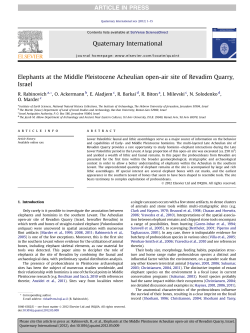 Elephants at the Middle Pleistocene Acheulian open