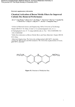 Chemical Activation of Boron Nitride Fibers for Improved Cationic