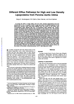 Different Efflux Pathways for High and Low Density Lipoproteins