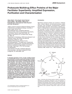 Prokaryote Multidrug Efflux Proteins of the Major Facilitator