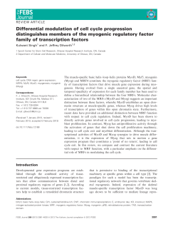 Differential modulation of cell cycle progression distinguishes