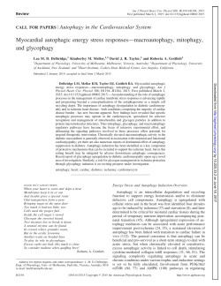 Myocardial autophagic energy stress responses&mdash;macroautophagy