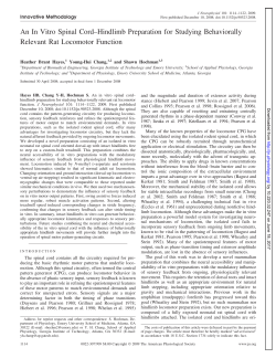 An In Vitro Spinal Cord&ndash;Hindlimb Preparation for Studying
