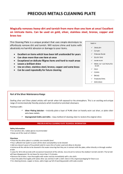 PRECIOUS METALS CLEANING PLATE - rkm
