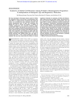 Symmetry of Initial Cell Divisions Among Primitive Hematopoietic