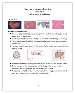 Liver, pancreas and biliary tract2