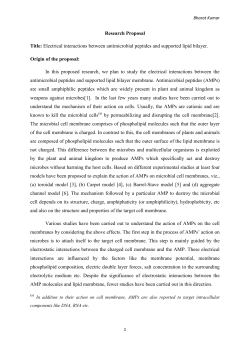 Electrical interactions between antimicrobial peptides and supported