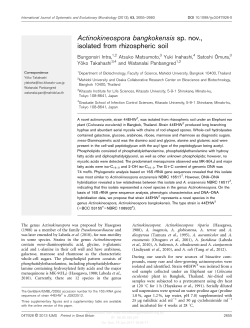 Actinokineospora bangkokensis sp. nov., isolated from rhizospheric