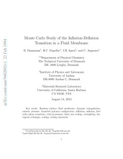 Monte Carlo Study of the Inflation-Deflation Transition in a Fluid