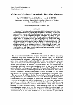 Carboxymethylcellulase Production by Verticillium