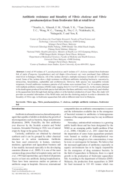 Antibiotic resistance and biosafety of Vibrio cholerae and Vibrio