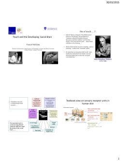 Touch and the Developing Social Brain Textbook view on sensory